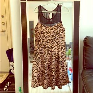 Mesh detail, Leopard print A-line dress